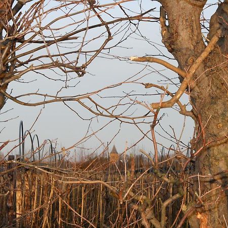 De Betuwe Hotell Asch Exteriör bild