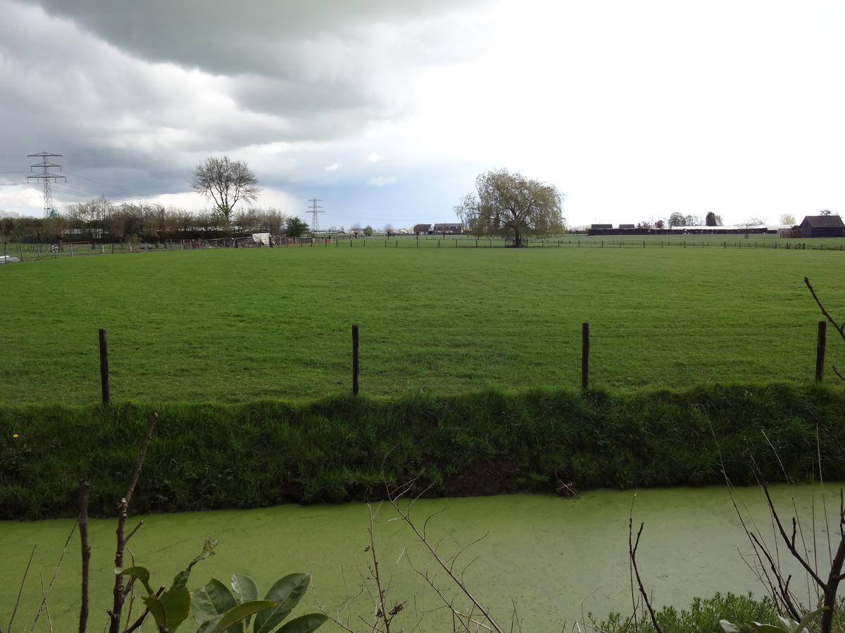 De Betuwe Hotell Asch Exteriör bild